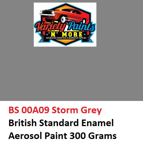 BS 00A09 Storm Grey British Standard Enamel Aerosol Paint 300 Grams