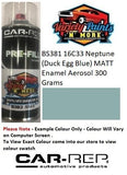 16C33 Neptune (Duck Egg Blue) Matt Enamel British Standard Custom Spray Paint 300 Grams  