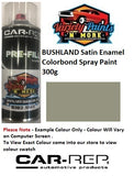 Bushland Satin Enamel Colorbond Spray Paint 300g