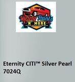 Variety Paints Eternity CITI™  Silver Pearl 2K Powdercoat Spray Paint 300g 