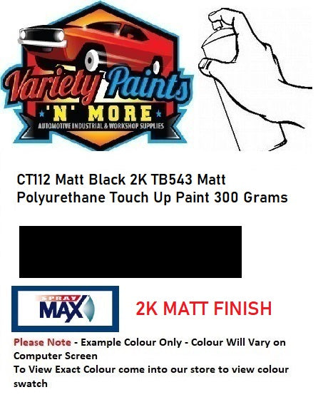 CT112 Matt Black 2K TB543 Matt Polyurethane Touch Up Paint 300 Grams