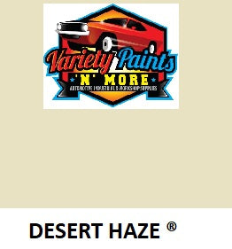 Desert Haze Colorbond Spray Paint 300g