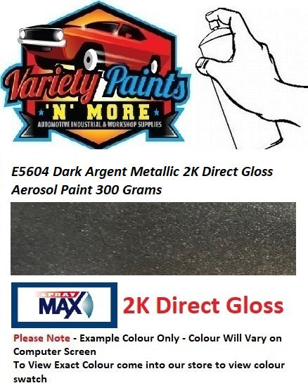 E5604 Dark Argent Metallic 2K Direct Gloss Aerosol Paint 300 Grams