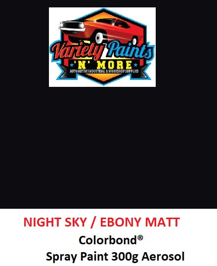 Night Sky Matt Colorbond Spray Paint 300g Aerosol