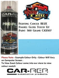 Fighting Cancer BLUE Enamel Gloss Touch Up Paint 300 Grams CAS507
