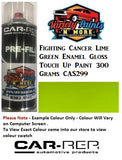 Fighting Cancer Lime Green Enamel Gloss Touch Up Paint 300 Grams CAS299