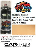 Fighting Cancer ORANGE Enamel Gloss Touch Up Paint 300 Grams CAS155