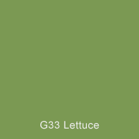 G33 Lettuce Australian Standard Gloss Enamel Custom Spray Paint 300 grams