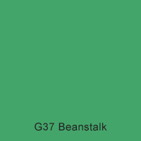G37 Beanstalk Australian Standard Gloss Enamel Custom Spray Paint