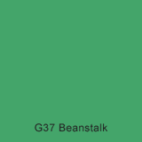 G37 Beanstalk Australian Standard Gloss Enamel Custom Spray Paint 1 LITRE