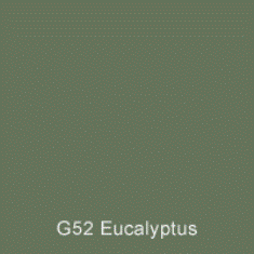 G52 Eucalyptus Australian Standard Custom Spray Paint 300 Grams