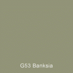 G53 Banksia Australian Standard Custom Spray Paint