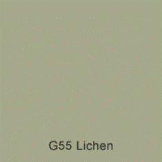 G55 Lichen Australian Standard Custom Enamel Spray Paint 300 Grams