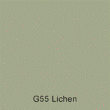 G55 Lichen Australian Standard Custom Enamel Spray Paint 300 Grams
