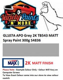 37286 GL107A  APO Grey 2K TB543 MATT Spray Paint 300g S4836
