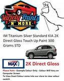 IM Titanium Silver Standard KIA 2K Direct Gloss Touch Up Paint 300 Grams STD 