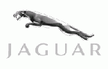 All Jaguar Touch Up Aerosol Paint  (Acrylic or Basecoat Colours)
