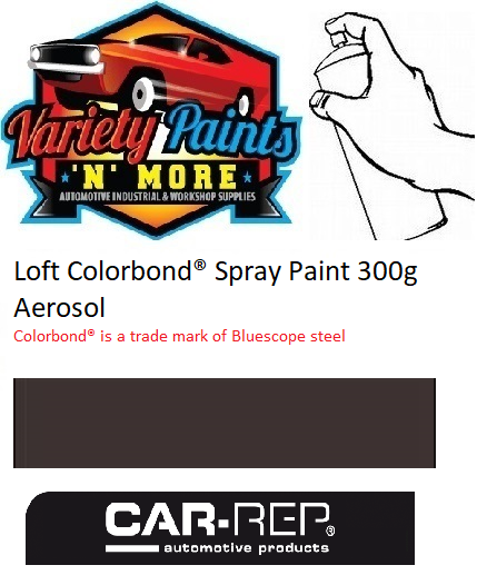 Loft Satin Colorbond Spray Paint 300g