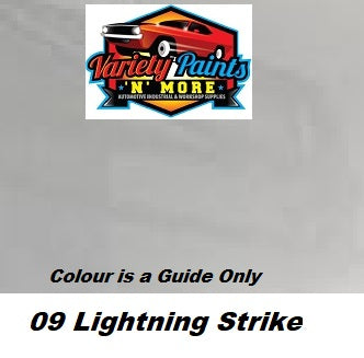 O9 OR 09 Lightning Strike FORD Acrylic Touch Up Paint 300 Grams