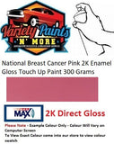 National Breast Cancer Pink 2K DTM Gloss Touch Up Paint 300 Grams 