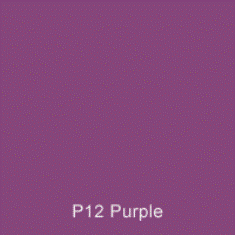 P12 Purple Australian Standard Gloss Enamel Spray Paint 300 Grams 1IS 10A