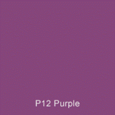 P12 Purple Australian Standard Gloss Enamel Spray Paint 300 Grams 2IS 10A