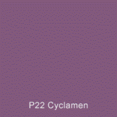 P22 Cyclamen Australian Standard Gloss Enamel Spray Paint 300 Grams