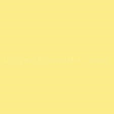 PMS100 PANTONE® Yellow Gloss Enamel Spray Paint 300g