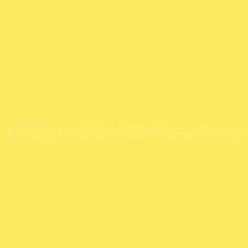PMS101 PANTONE® Yellow Gloss Enamel Spray Paint 300g