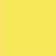 PMS106 PANTONE® Yellow Gloss Enamel Custom Spray Paint 300g