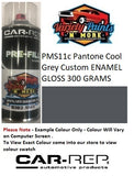 PMS11c PANTONE® Cool Grey Custom ENAMEL GLOSS 300 GRAMS