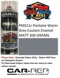 PMS11c Pantone Warm Grey Custom ENAMEL MATT 300 GRAMS 