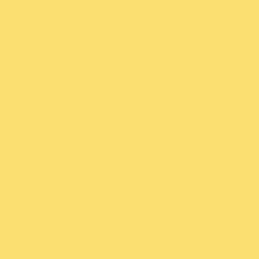 PMS121 PANTONE® Custom ENAMEL GLOSS 300 GRAMS