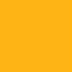 PMS1235 PANTONE® Custom Golden Yellow Satin Spray Paint 300G