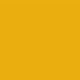 PMS130 PANTONE® 2X Yellow Custom Gloss Enamel Spray Paint 300 grams