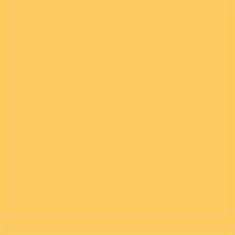 PMS135 PANTONE® Yellow Custom Gloss Enamel Spray Paint 300 grams