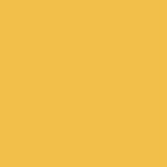 PMS142 PANTONE® Process Yellow Custom Spray Paint 300 Gram Aerosol