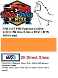 PMS1495 PMS Pantone Golden Yellow 2K Direct Gloss TB510 DTM 300 Grams
