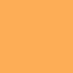 PMS150 PANTONE® Orange Custom Gloss Enamel Spray Paint 300 grams