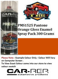 PMS1525 Pantone Orange Gloss Enamel Spray Pack 300 Grams