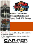 PMS1525 Pantone Orange MATT Enamel Spray Pack 300 Grams