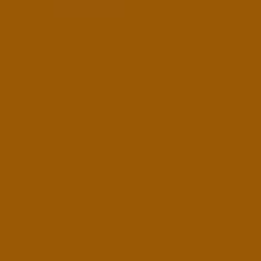 PMS154 PANTONE® Custom Gloss Enamel Spray Paint 300 grams