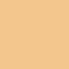 PMS156 PANTONE® Custom Gloss Enamel Spray Paint 300 grams