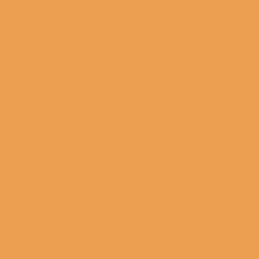 PMS157 PANTONE® Custom Gloss Enamel Spray Paint 300 grams