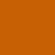 PMS159 PANTONE® Orange Custom 2K Direct Gloss Spray Paint 300 Grams