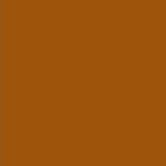 PMS160+ Pantone® Orange Gloss Enamel Spray Paint 300 grams **SEE NOTES