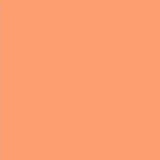 PMS163 Pantone® Orange Gloss Enamel Spray Paint 300 grams