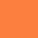 PMS164 Pantone® Orange Gloss Enamel Spray Paint 300 grams