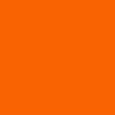 PMS165 Pantone® Orange Gloss Enamel Custom Spray Paint 300 Grams