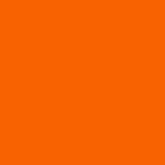 PMS165 Pantone® Orange 2K DIRECT GLOSS Spray Can 300 Grams